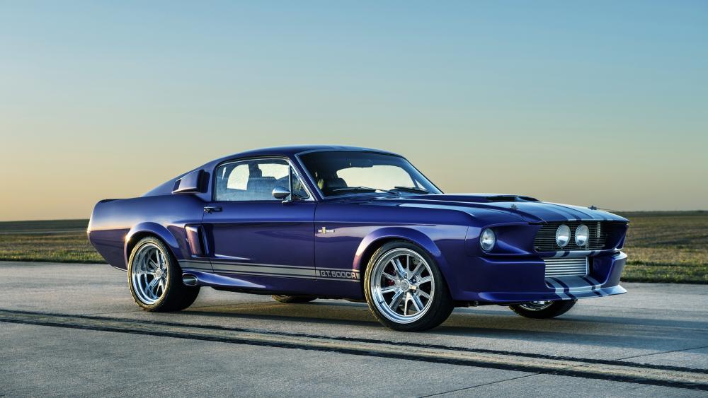 Shelby Mustang Gt500cr Backiee