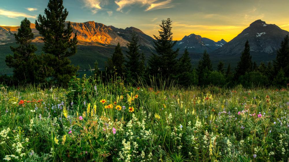 Springtime in the mountains wallpaper