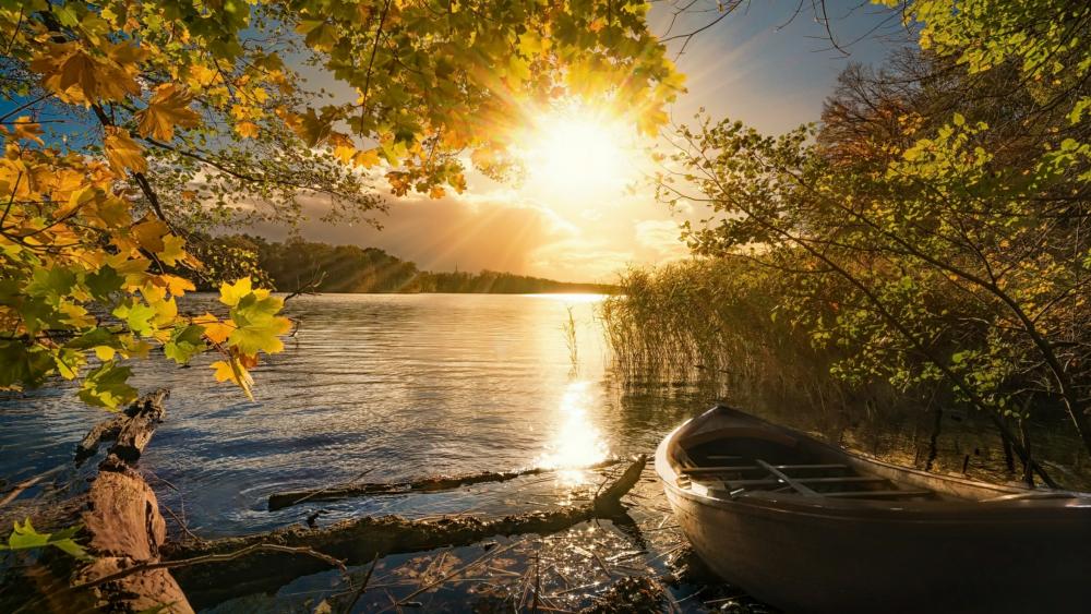 Autumn sunshine wallpaper