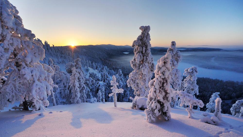 Fell Konttainen, Kuusamo wallpaper