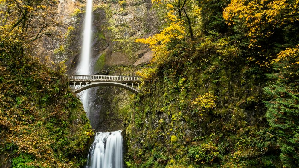 Multnomah Falls and Benson Footbridge wallpaper - backiee