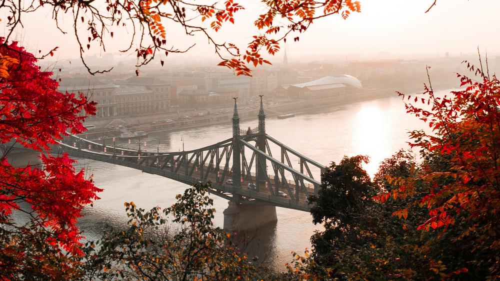 Liberty Bridge (Budapest) wallpaper