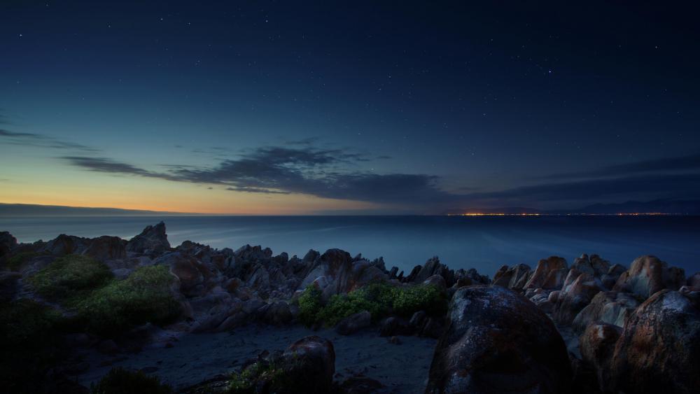 Starry sky over the ocean shore at South Africa wallpaper