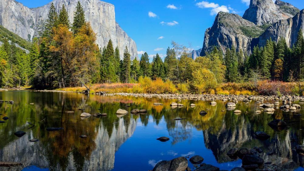 El Capitan from Merced River, Yosemite Valley wallpaper