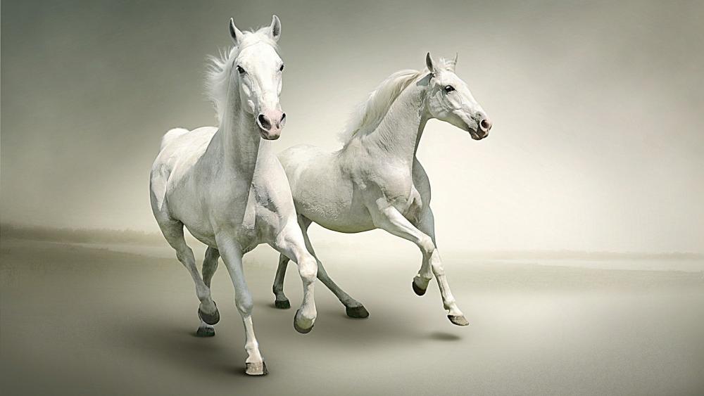 White horses wallpaper