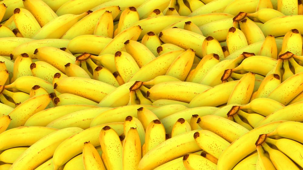 Bananas wallpaper