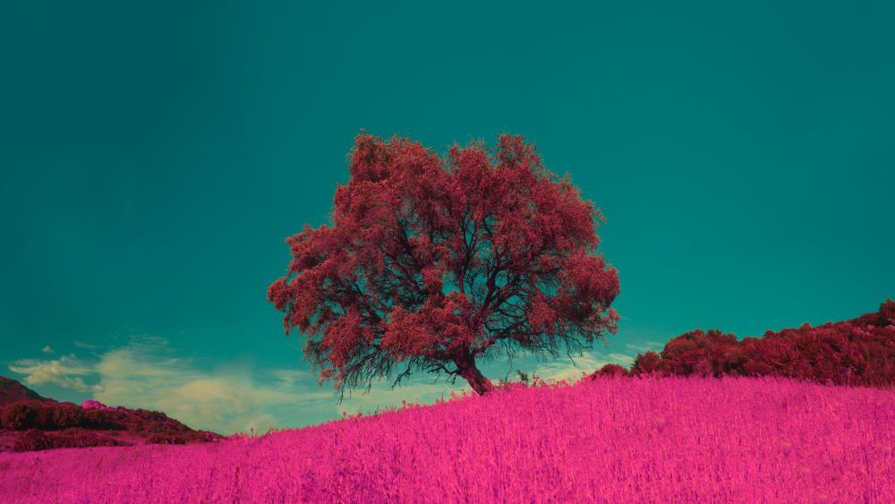 Lone pink tree in the middle of the pink field wallpaper