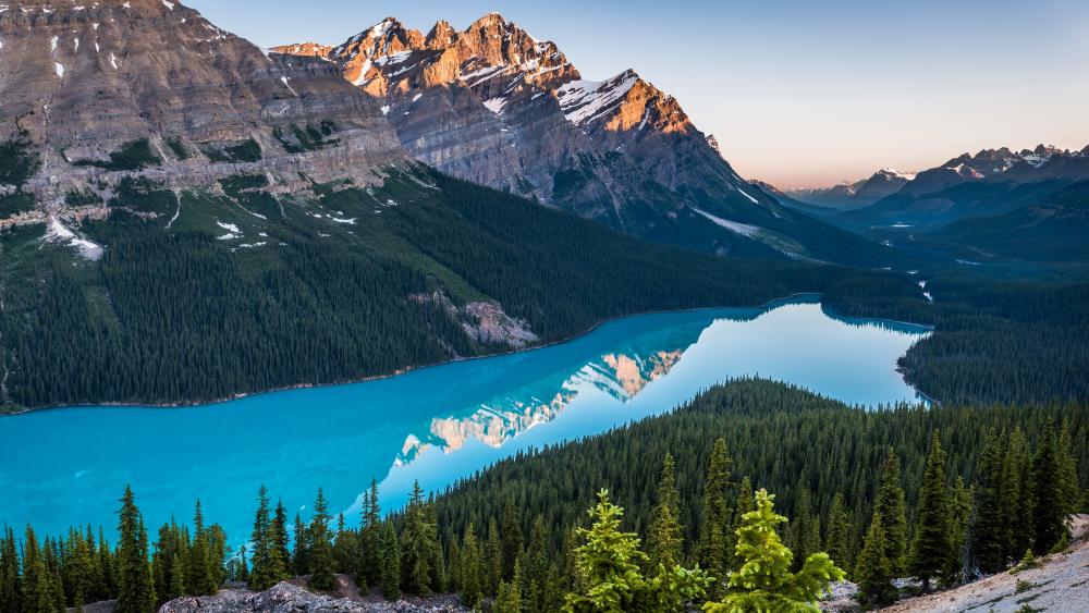 Peyto Lake (Canada) wallpaper