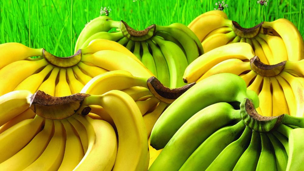 Bananas wallpaper