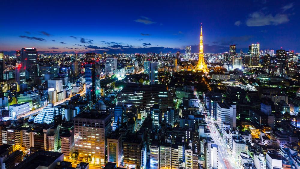 Tokyo night cityscape - backiee