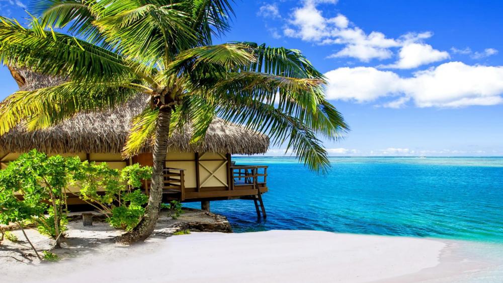 Bungalow in the Moorea Island wallpaper