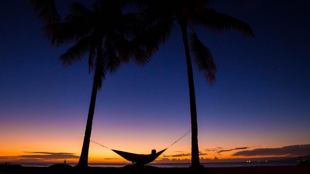 Silhouette of a hammock under the palms wallpaper