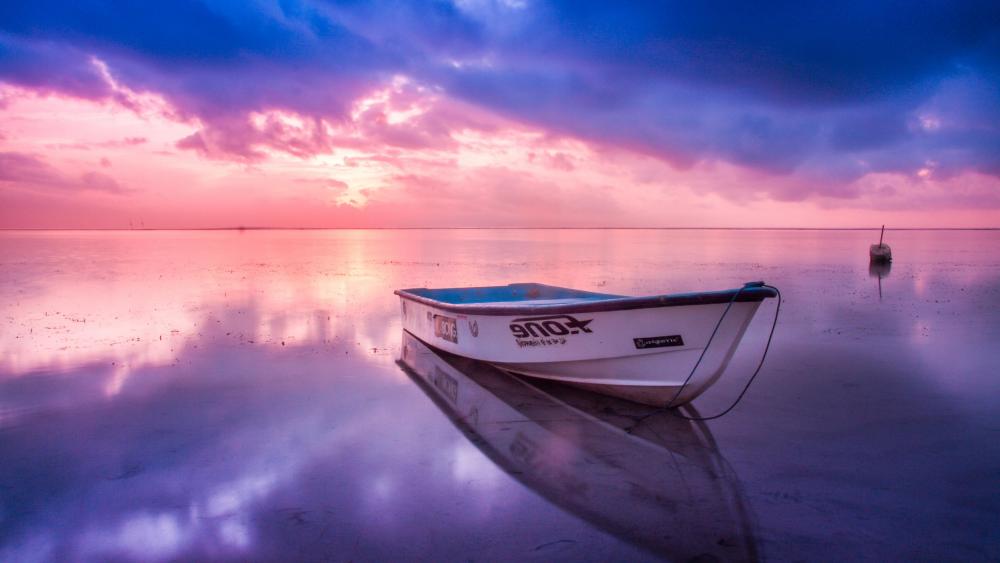 White boat under the pink sky wallpaper
