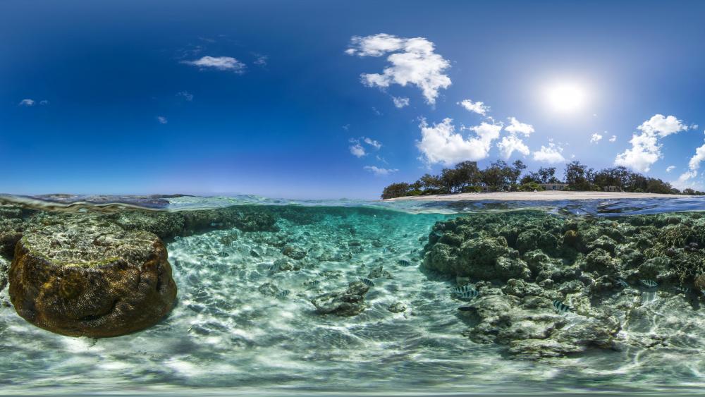 Lady Elliot Island reef wallpaper
