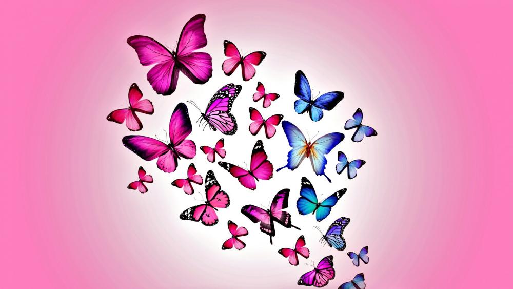 Butterflies wallpaper