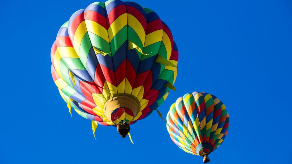Colorful hot air balloons wallpaper
