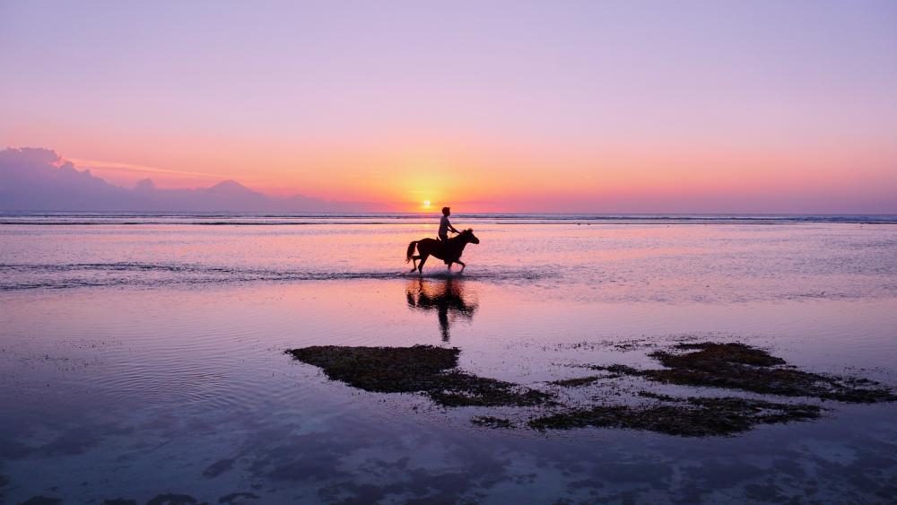 Horseback riding in the sunset wallpaper