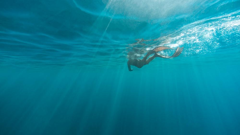 Underwater sun rays wallpaper