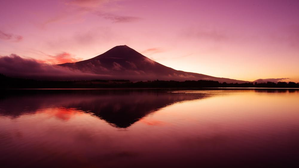 Lake Tanuki reflected Mount Fuji wallpaper