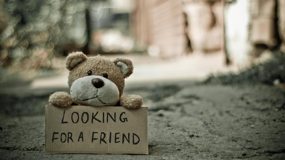 Looking for a friend wallpaper