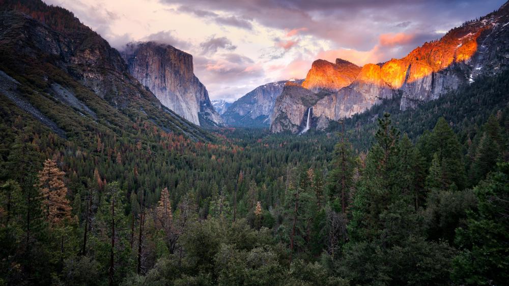 El Capitan from Yosemite Valley wallpaper