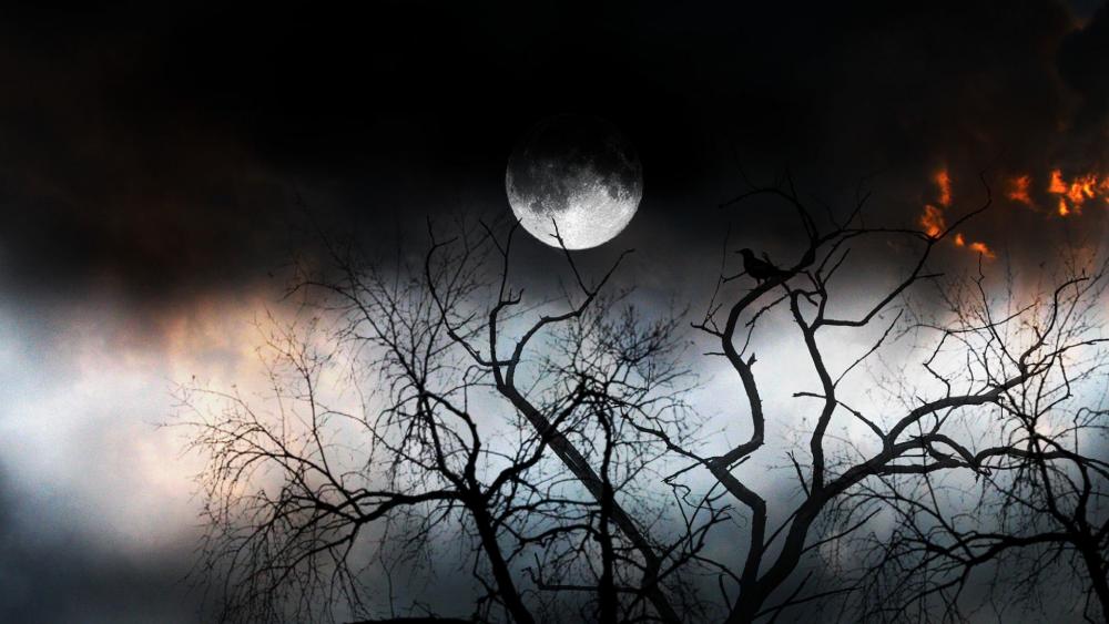 The mystery of night wallpaper