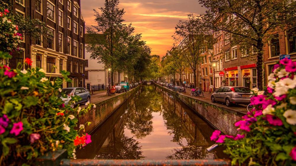 Amsterdam canal view wallpaper