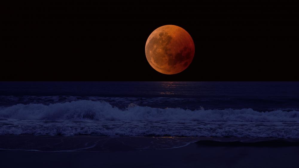 Full moon from the beach wallpaper