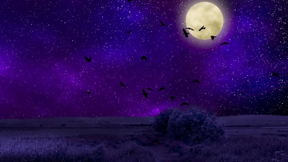 Starry night with full moon wallpaper