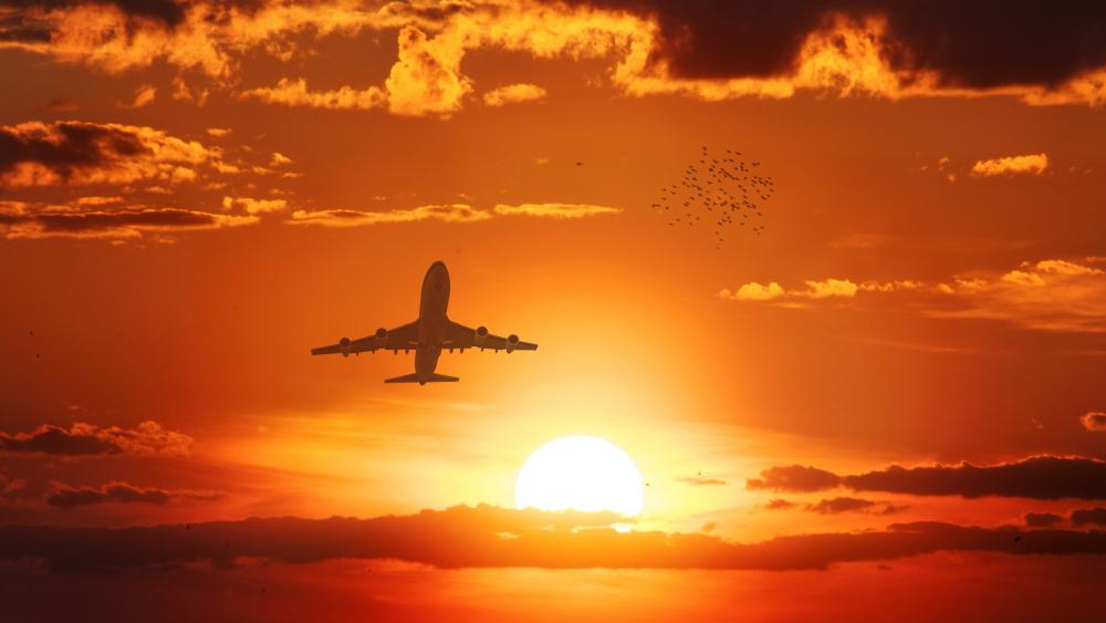 Airplane flying in the sunset wallpaper