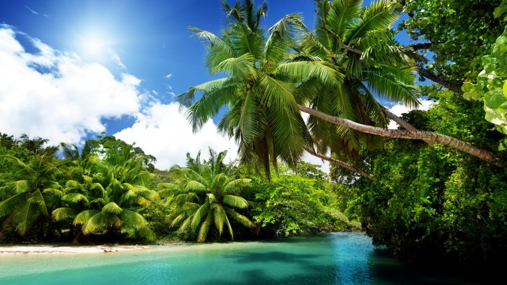 Tropical landscape wallpaper