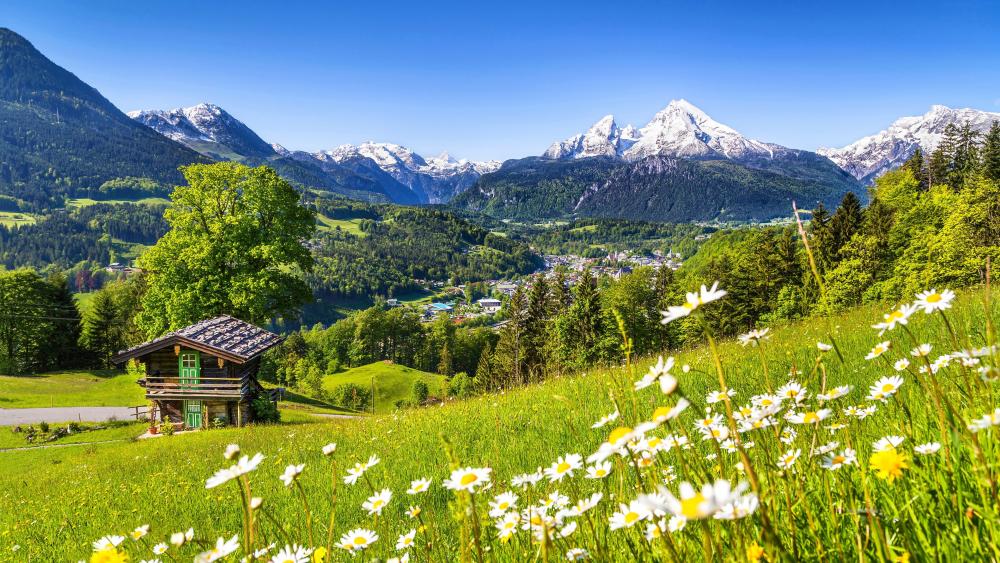 Watzmann in springtime, Bavaria, Germany - backiee