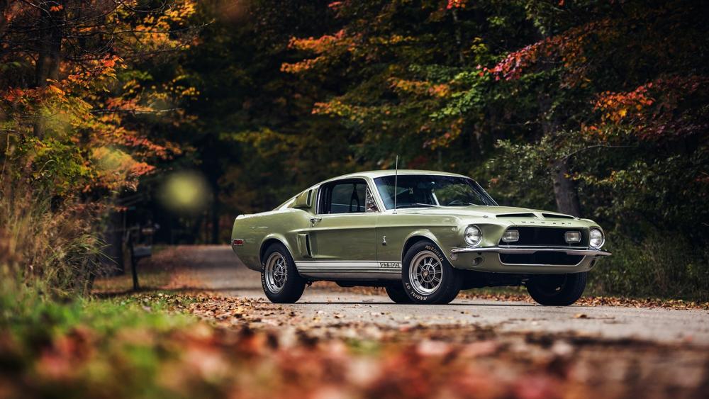 1968 Ford Mustang Shelby GT500 wallpaper