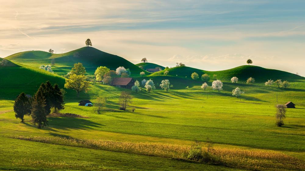 Spring landscape wallpaper