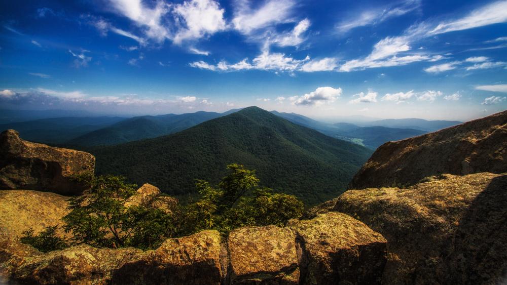 Hawksbill Mountain (Shenandoah National Park, VA) wallpaper backiee