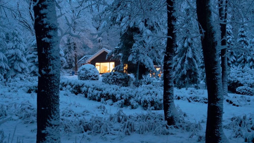 House in a snowy forest wallpaper