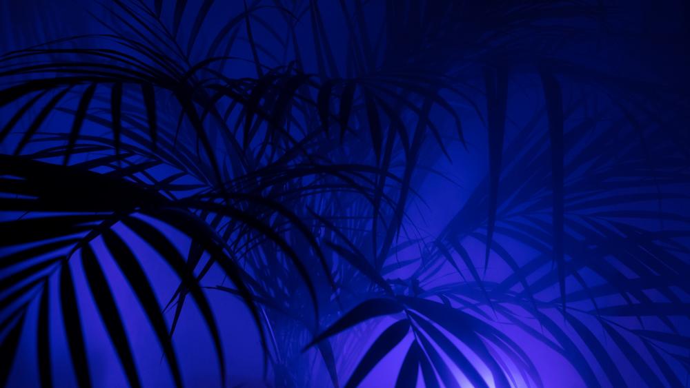 Palm leaves in the darkness wallpaper