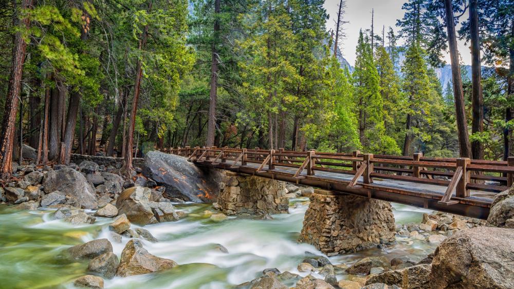 Lower Yosemite Falls bridge wallpaper