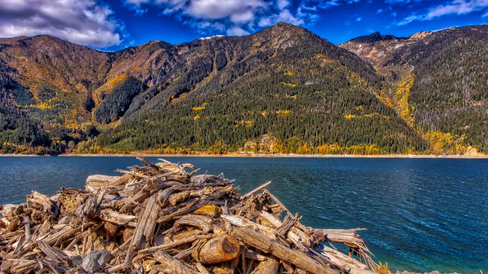 Kinbasket Lake HDR wallpaper