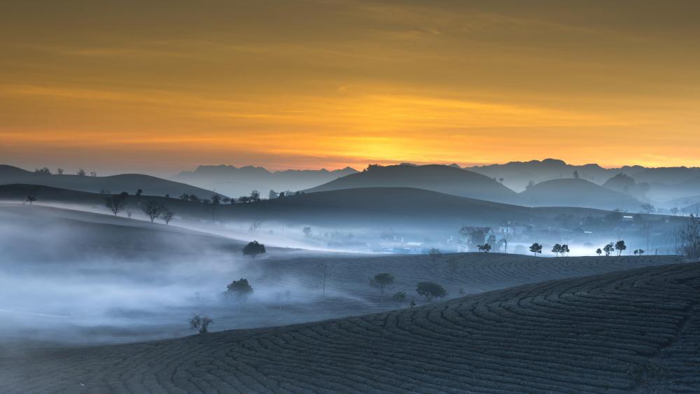 Early morning mist wallpaper