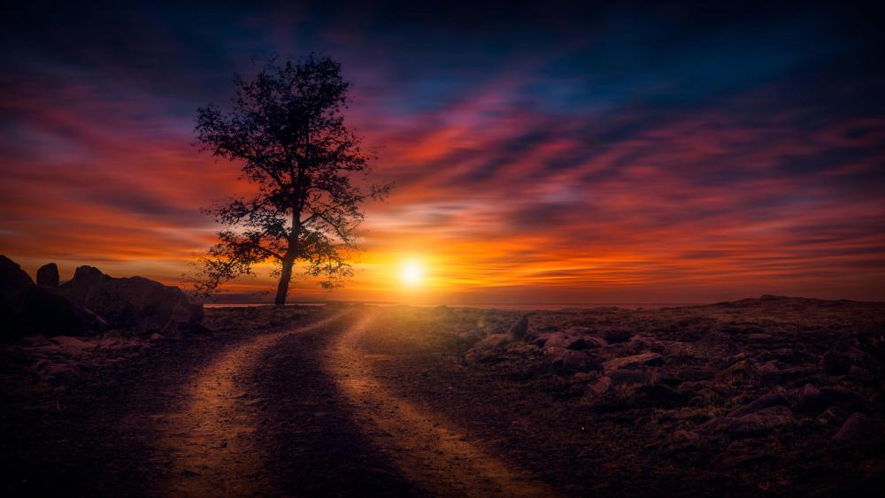 Dirt road at sundown wallpaper