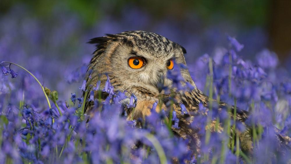 Owl in the flowers wallpaper