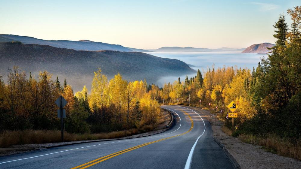 Foggy fall landscape wallpaper