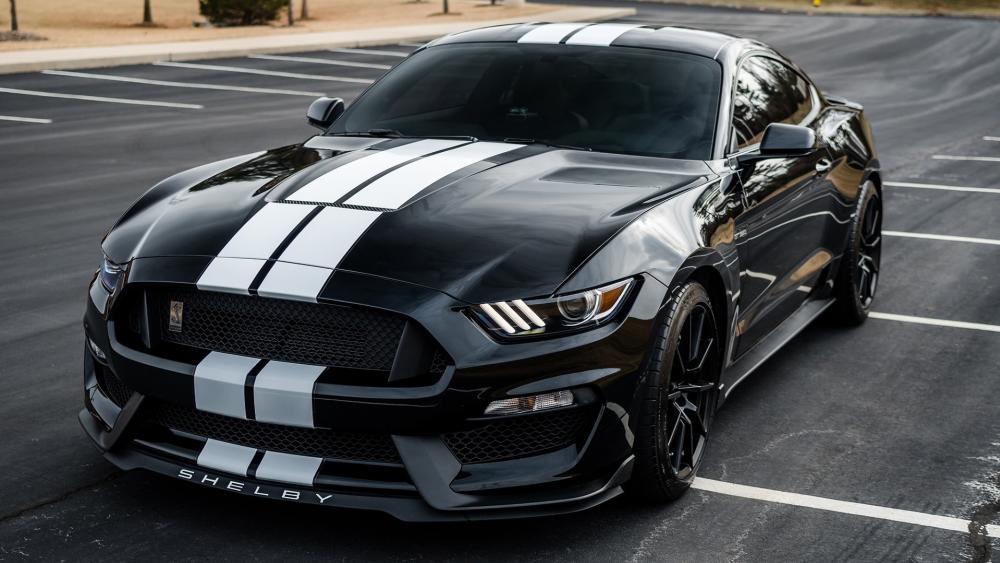 Ford Shelby Mustang wallpaper