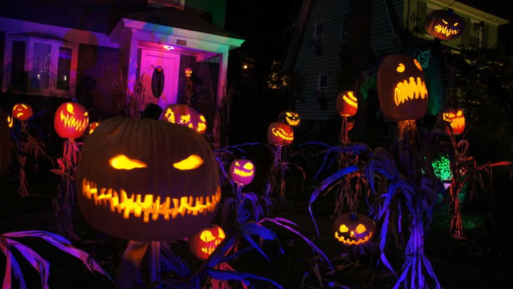 Spooky Jack O'lanterns in the garden wallpaper
