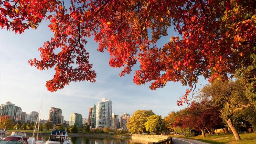Vancouver at fall wallpaper