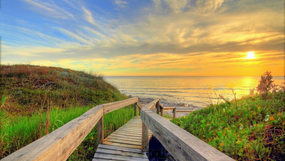Boardwalk to the beach wallpaper