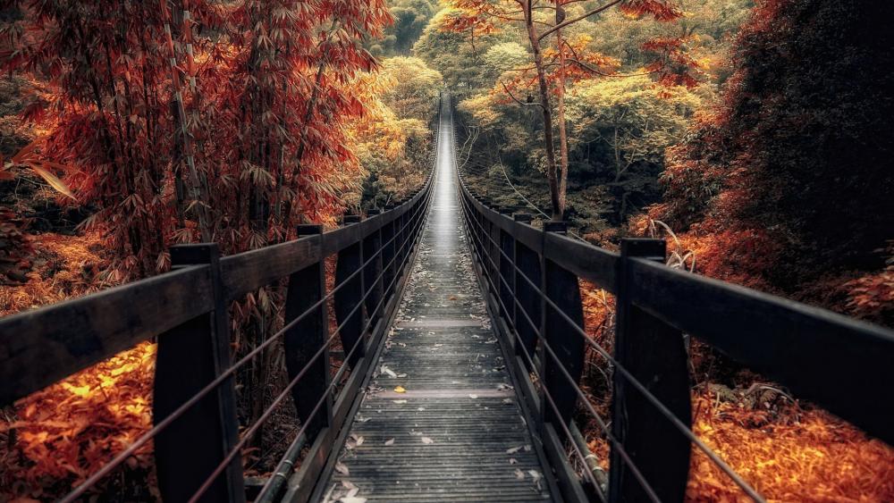 Footbridge in the fall forest wallpaper