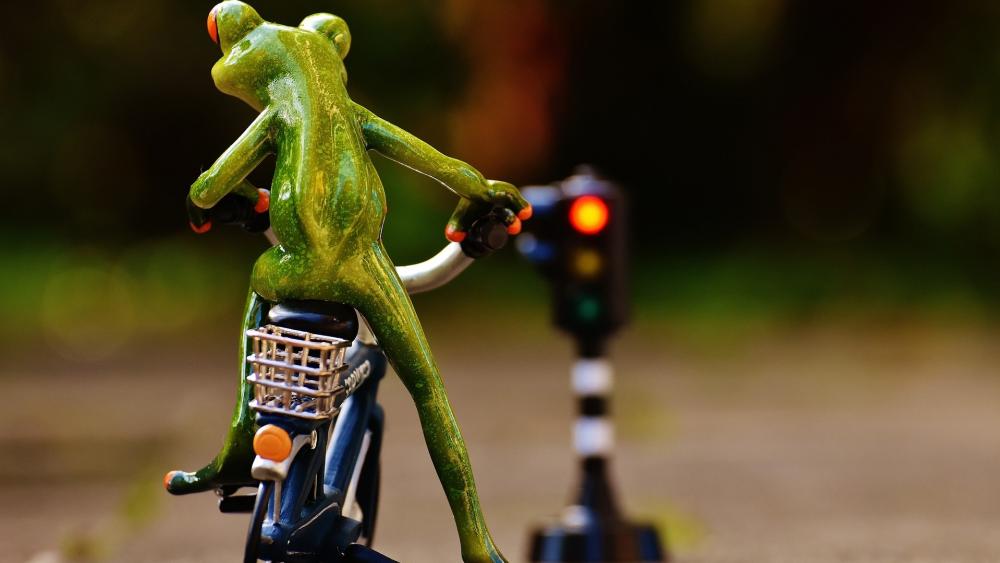 Frog Rider wallpaper