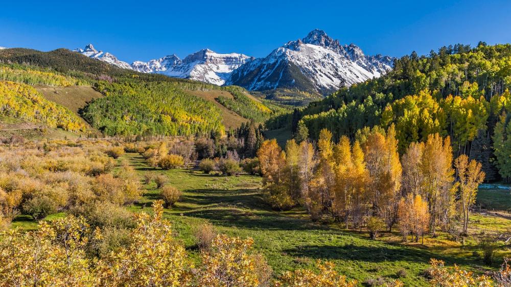 San Juan Mountains (Ouray, Colorado) - backiee